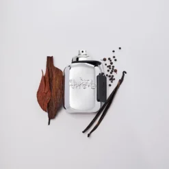 Coach Platinum Eau De Parfum Spray 60ml -Hugo Boss Shop 12004642 1345058490650429