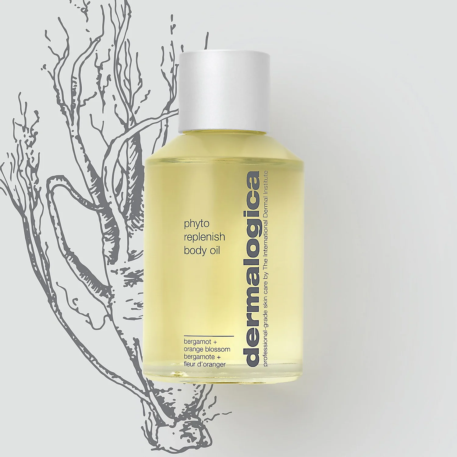 Dermalogica Body Therapy Phyto Replenish Body Oil 125ml 5 Dermalogica Body Therapy Phyto Replenish Body Oil 125ml - Image 3