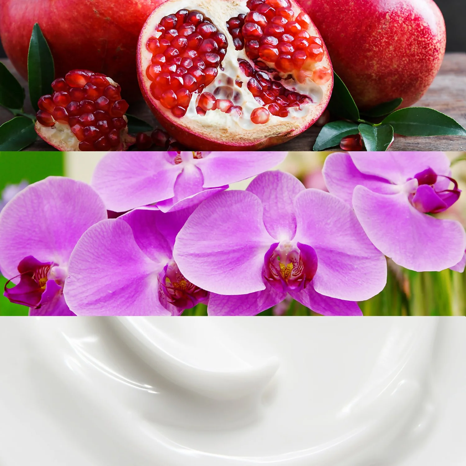 Calvin Klein Euphoria Eau De Parfum 50ml 6 Calvin Klein Euphoria Eau De Parfum 50ml - Image 4