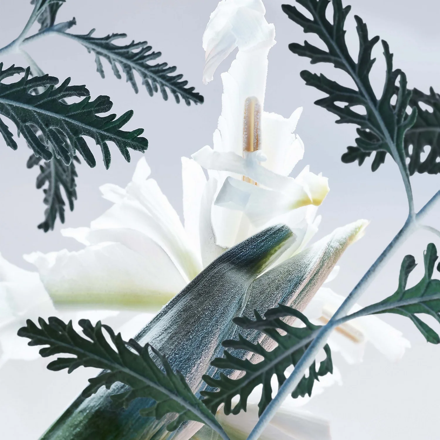 Bulgari Man Glacial Essence Eau De Parfum Spray 60ml 6 Bulgari Man Glacial Essence Eau De Parfum Spray 60ml - Image 4