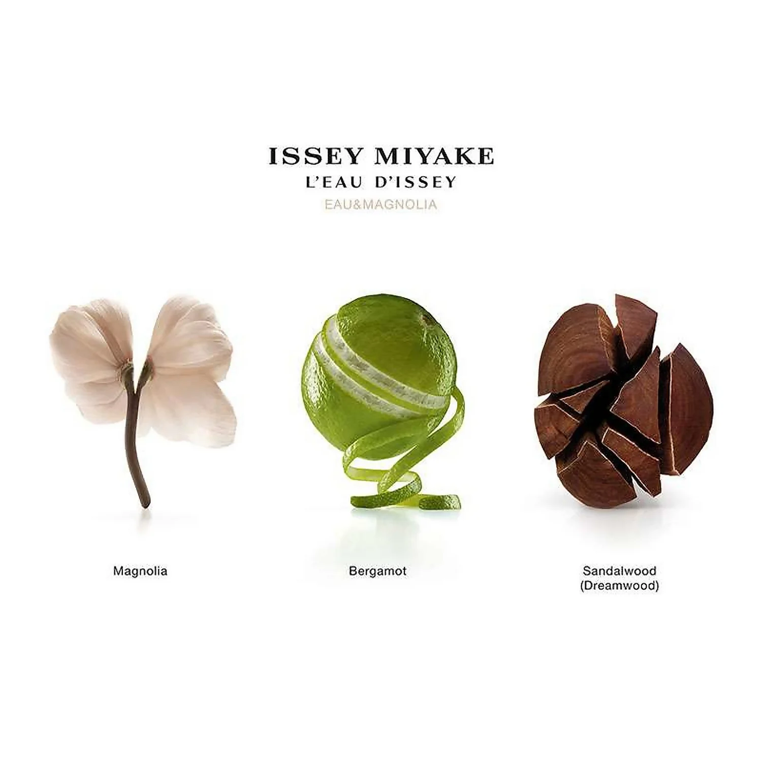 Issey Miyake L’Eau D’Issey Eau & Magnolia Intense Eau De Toilette Spray 100ml 6 Issey Miyake L’Eau D’Issey Eau & Magnolia Intense Eau De Toilette Spray 100ml - Image 4