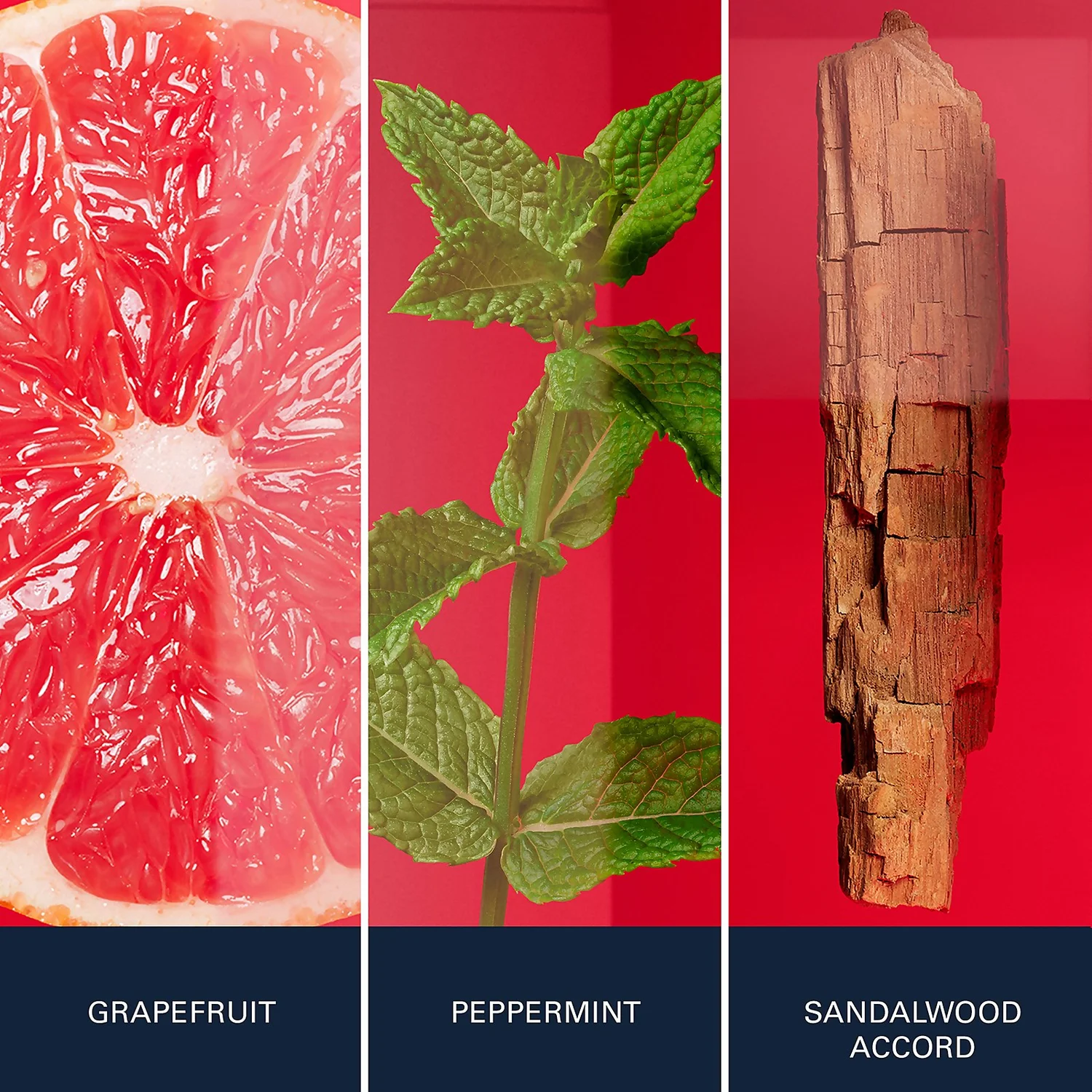 HUGO BOSS HUGO Jeans For Men Eau De Toilette 75ml 5 HUGO BOSS HUGO Jeans For Men Eau De Toilette 75ml - Image 3