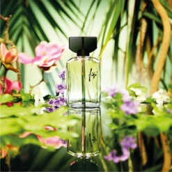 Guy Laroche Fidji Eau De Parfum Spray 50ml -Hugo Boss Shop 14598611 2095058524771028